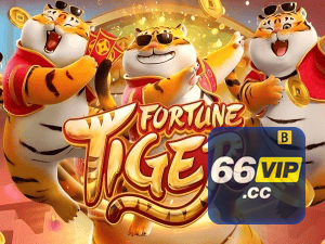 Guia install APK 66VIP BR