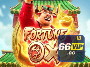 66VIP login — painel de entrada no app oficial