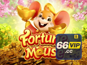 66VIP login — configurações de segurança e proteção de conta